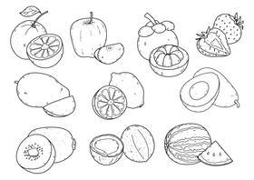 Fruits drawing set black and white vector
