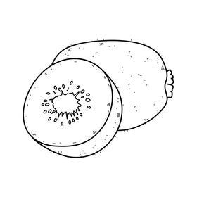 Kiwi fruit drawing black and white clipart