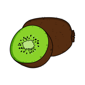 Kiwi fruit drawing clipart