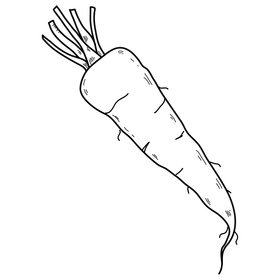 Carrot drawing black and white clipart free download