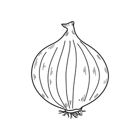 Onion black and white clipart