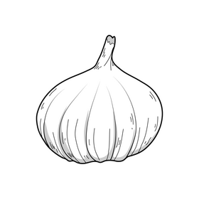 Garlic drawing clipart