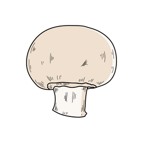 Mushroom drawing clipart