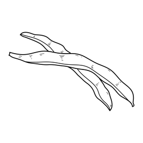 Peas drawing black and white clipart