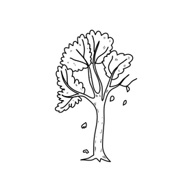 Autumn tree drawing black and white clipart