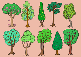 Family Tree Vector Free Download