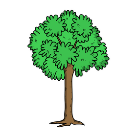 Tree drawing clipart