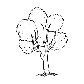 Summer tree drawing black and white clipart