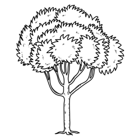 Summer season tree drawing black and white clipart