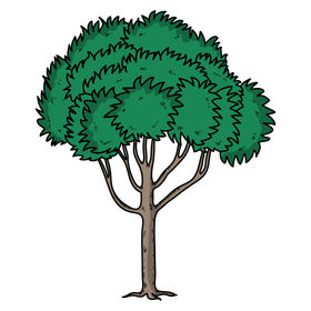 Summer season tree drawing clipart