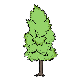 Summer tree drawing clipart