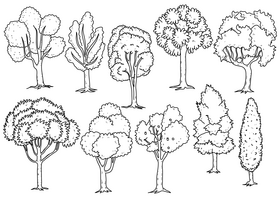 Summer green tree drawing set black and white vector