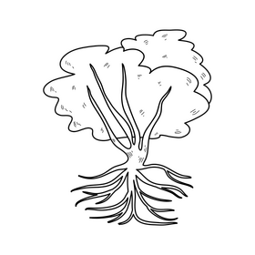 Tree with roots drawing black and white clipart free download