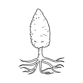 Small tree with roots drawing black and white clipart
