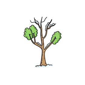 Winter tree drawing clipart