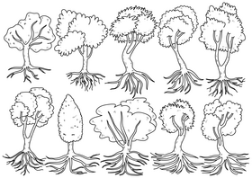 Tree with roots drawing set black and white vector