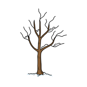 Simple winter tree clipart