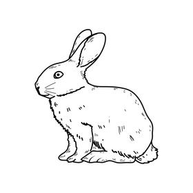 Easter rabbit drawing black and white clipart