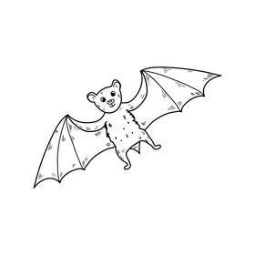 Halloween bat drawing black and white clipart