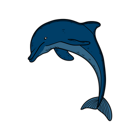 Dolphin drawing clipart