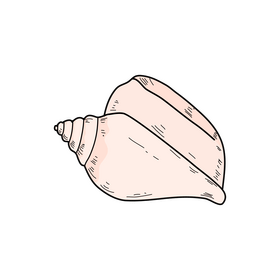 Sea snail drawing clipart