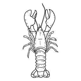 Lobster drawing black and white clipart