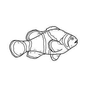 Fish drawing black and white clipart