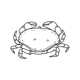 Crab drawing black and white clipart