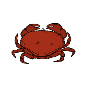 Crab drawing clipart