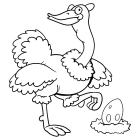 Ostrich cartoon drawing black and white clipart