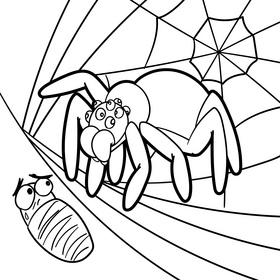 Spider cartoon drawing black and white vector