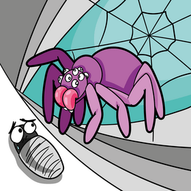 Spider cartoon vector