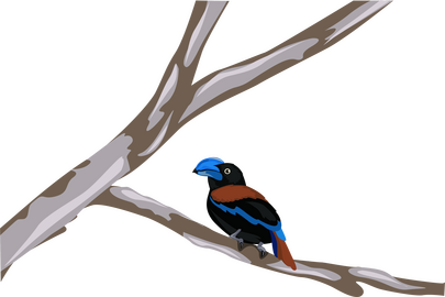 Cartoon blue bird clipart