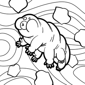 Tardigrade cartoon drawing black and white vector