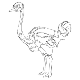 Cartoon ostrich black and white clipart
