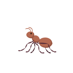 Ant clipart