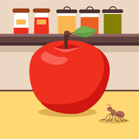 Ant and apple vector
