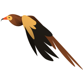 African fish eagle clipart