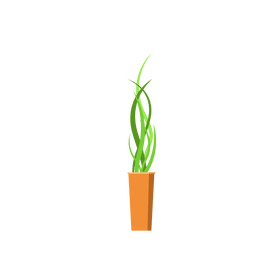Pot plant clipart
