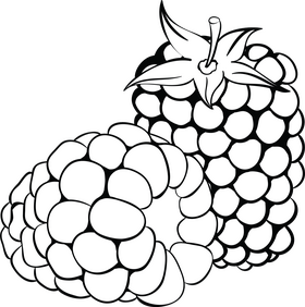 Free blackberry black and white clipart