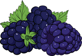 Free blackberry fruit clipart