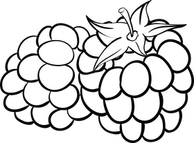 Blackberry fruit black and white clipart