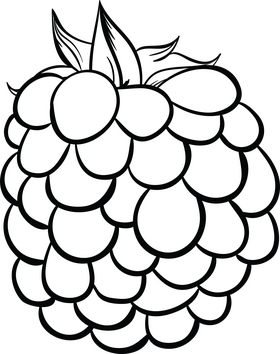 Blackberry black and white clipart