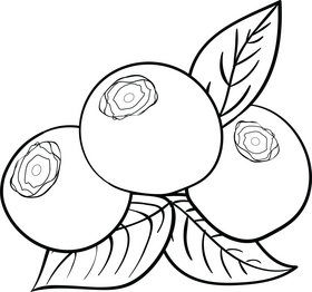 Blueberries fruit black and white clipart