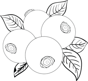 Free blueberries black and white clipart