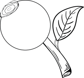 Blueberry black and white clipart