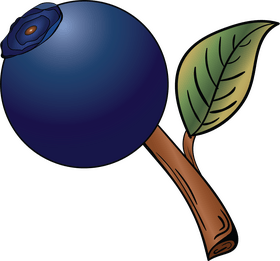 Blueberry clipart