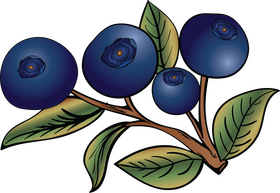 Blueberry leaves clipart