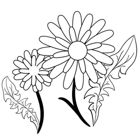Dandelion black and white clipart
