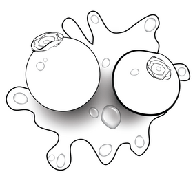 Blueberry black and white clipart